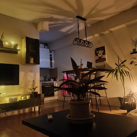 Jungle Joyland Apartment